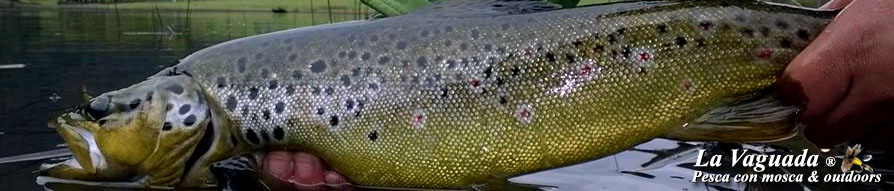 La Vaguada - Fly Fishing, Outdoors & Outfitters