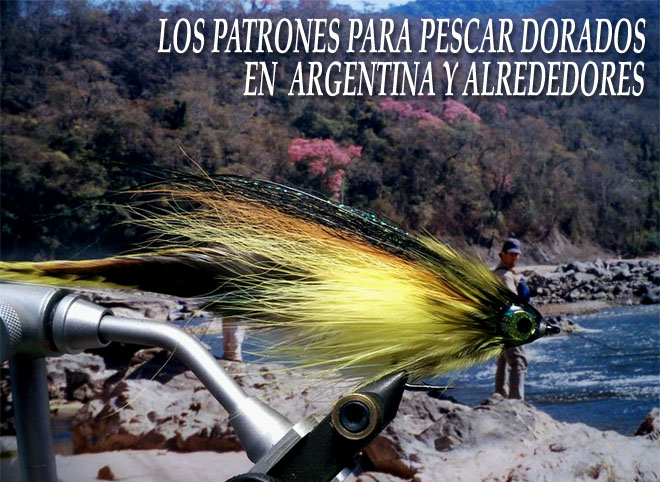 Los patrones para pescar dorados con mosca en Argentina y Alrededores