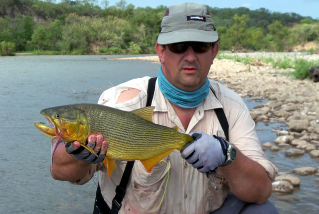 Los patrones para pescar dorados con mosca en Argentina y Alrededores