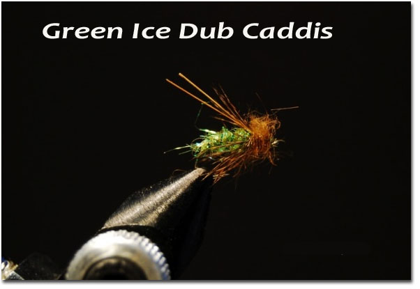 Green Ice Dub Caddis