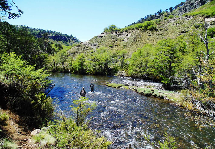 Lonquimay, All Mountain Fishing experience