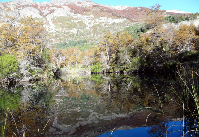 En San Martn, Junn y Bariloche: Aguas Bajas, Peces Chicos