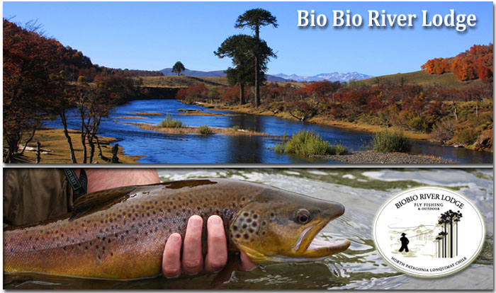 Bio Bio River Lodge