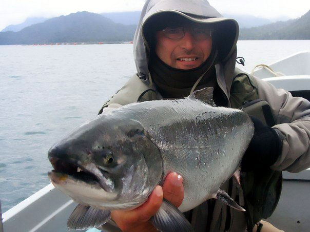 Slo pesca con mosca de Chinook. Caa orvis helios N 6