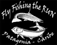 Fly Fishing The Run -  Patagonia - Caribe