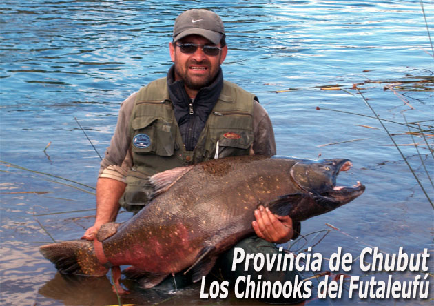 Provincia de Chubut, los Chinooks del Futaleuf