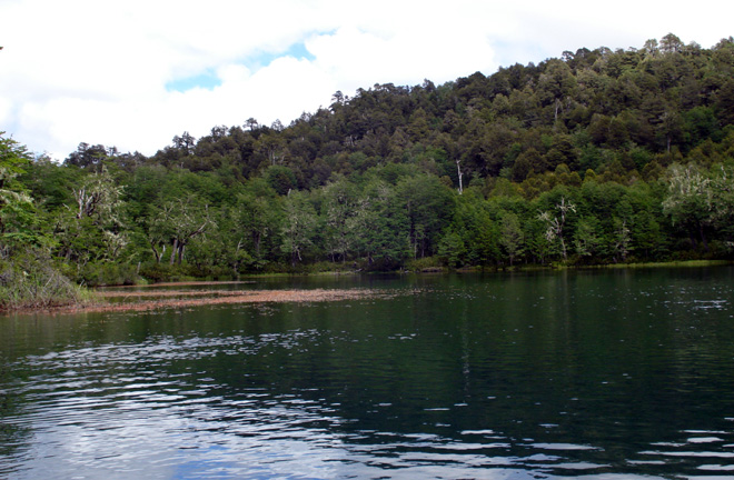 Puyehue, un antes y despus:  Laguna La Gallina  - Foto de Ricardo Ordoez