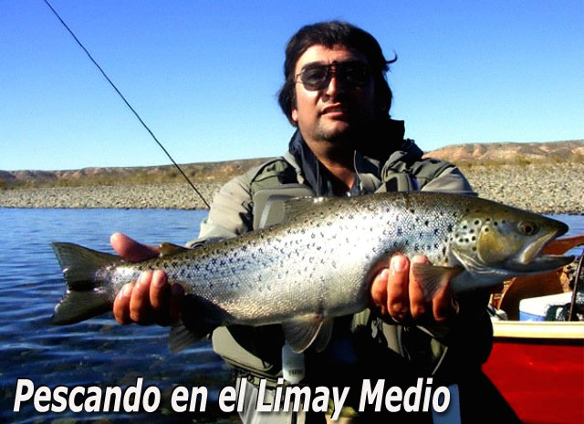 Pescando en el Limay Medio