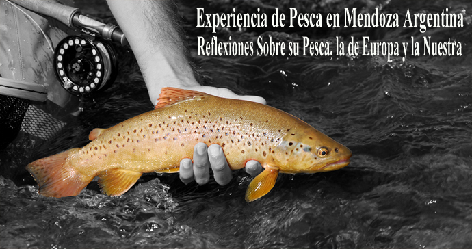 Experiencia de Pesca en Mendoza Argentina y Reflexiones Sobre su Pesca, la de Europa y la Nuestra