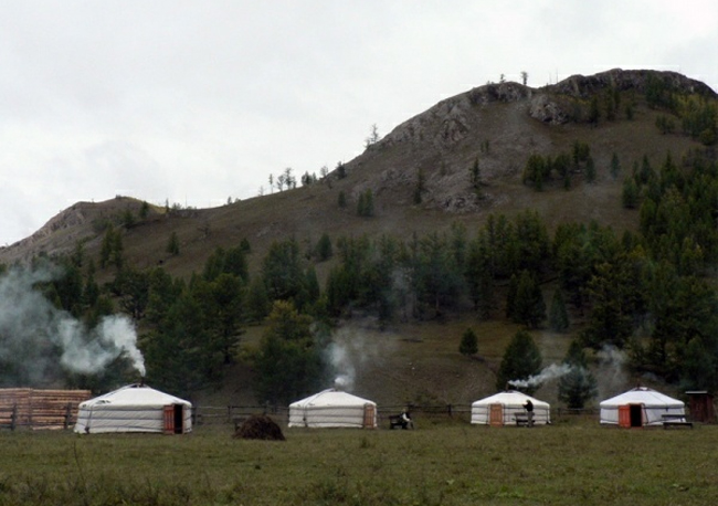 Taimen en Mongolia
