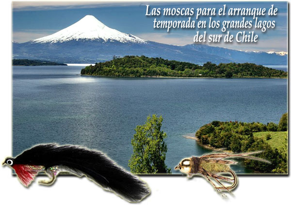 Las moscas para el arranque de temporada en los grandes lagos del sur de Chile