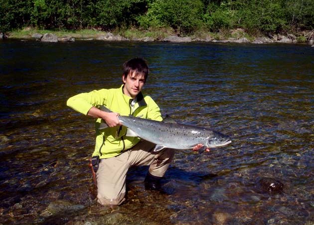 Atlantic Salmon en los ros de Noruega