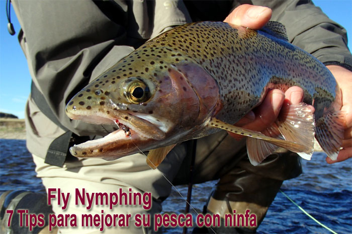 Fly Nymphing - 7 Tips para mejorar su pesca con ninfa