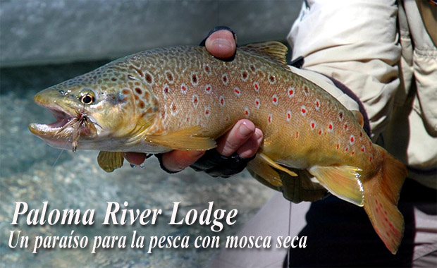 Paloma River Lodge, un paraíso para la pesca con mosca seca
