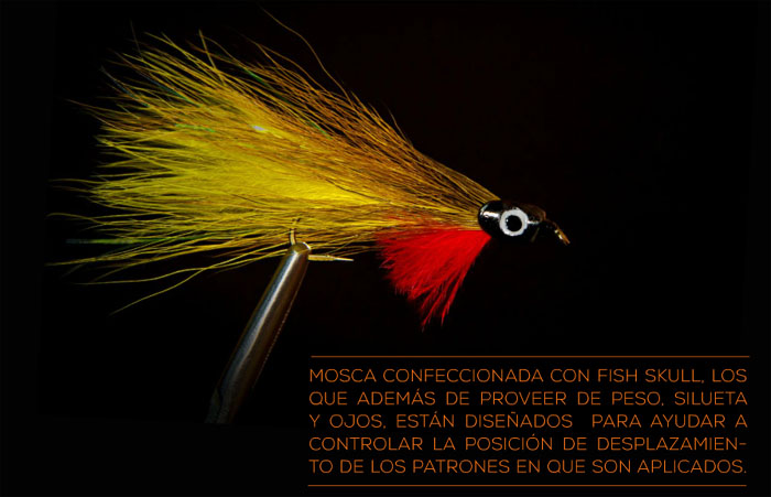 Nueva Revista de Pesca con Mosca Chilena