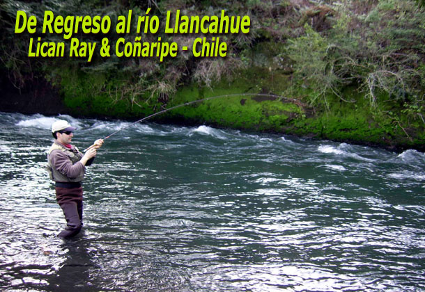 De regreso al ro Llancahue - Lican Ray & Coaripe - Chile.