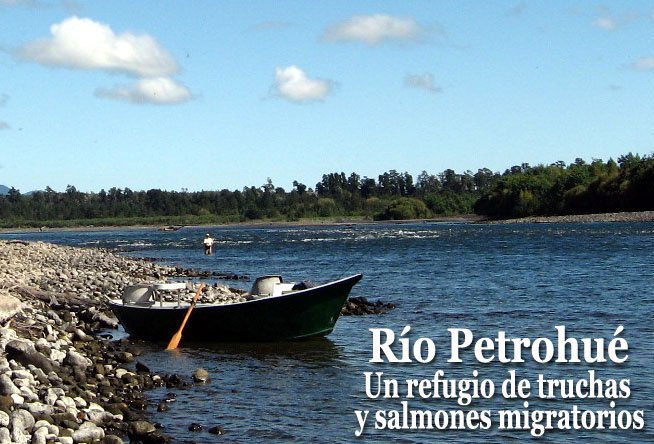 Río Petrohue, refugio de truchas y salmones migratorios