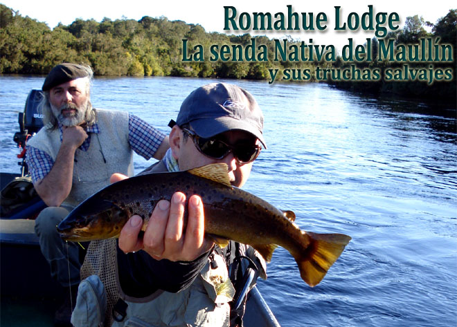 Romahue Lodge - La senda Nativa del Maulln