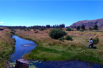 Captura en un spring creek Patagonia, Chile