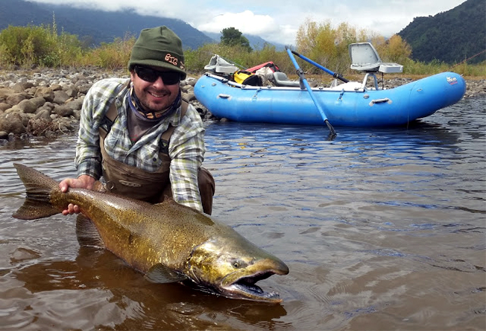En Tierra de Gigantes, La Pesca del Salmn chinook en el sur de Chile.