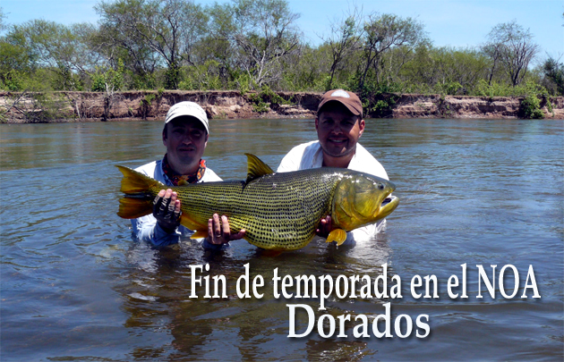 Fin de temporada en el NOA - Pesca de Dorados