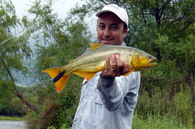 Fin de temporada en el NOA - Pesca de Dorados