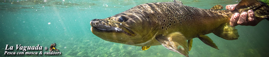 La Vaguada - Fly Fishing, Outdoors & Outfitters