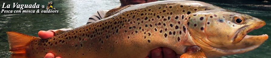 La Vaguada - Fly Fishing, Outdoors & Outfitters