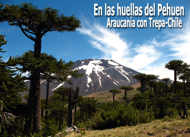 En las huellas del Pehuen - Araucana con Trepa-Chile