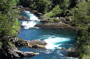 Total rechazo al EIA del proyecto hidroeléctrico de Neltume presentado por ENDESA S.A.