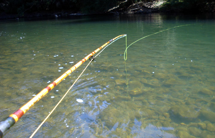 Del Prado Bamboo Fly Rods, Pescando con Bamb