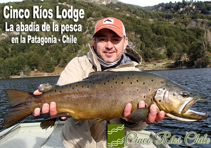 Cinco Ros Lodge, la abada de la pesca en la Patagonia-Chile