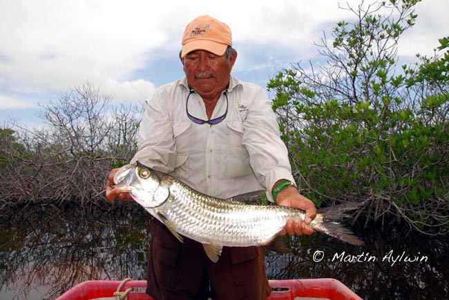 Pescando Bonefish en Cozumel Mxico