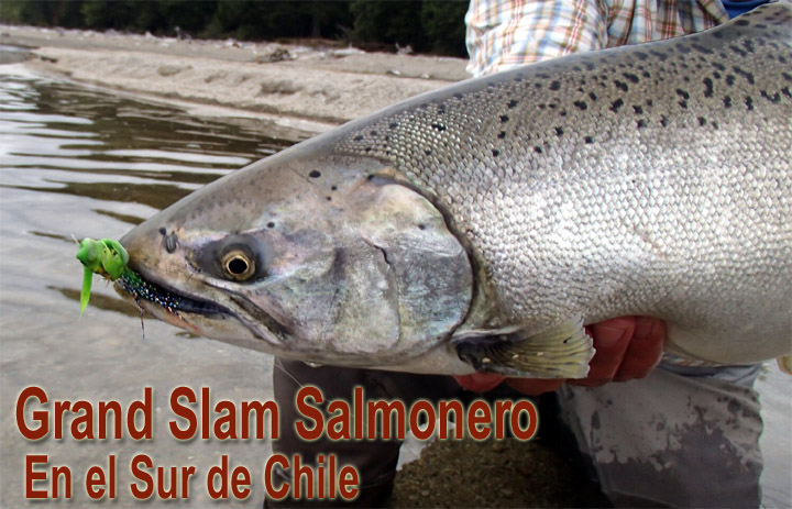 Grand Slam Salmonero en el sur de Chile