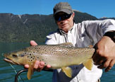 Avance de la Temporada de Pesca en La Junta - Chile