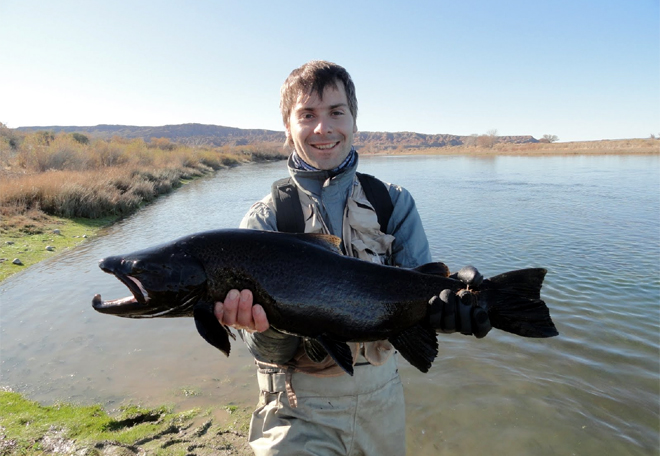 Ro Limay, Las claves para una pesca deslumbrante en la Patagonia Argentina