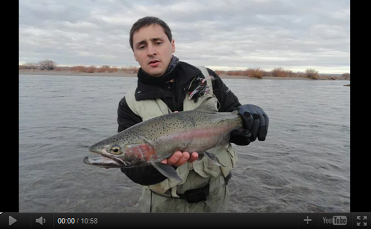 Video "Limay Monsters"