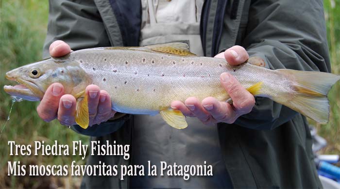 Tres Piedras fly Fishing, Mis moscas favoritas para la Patagonia.