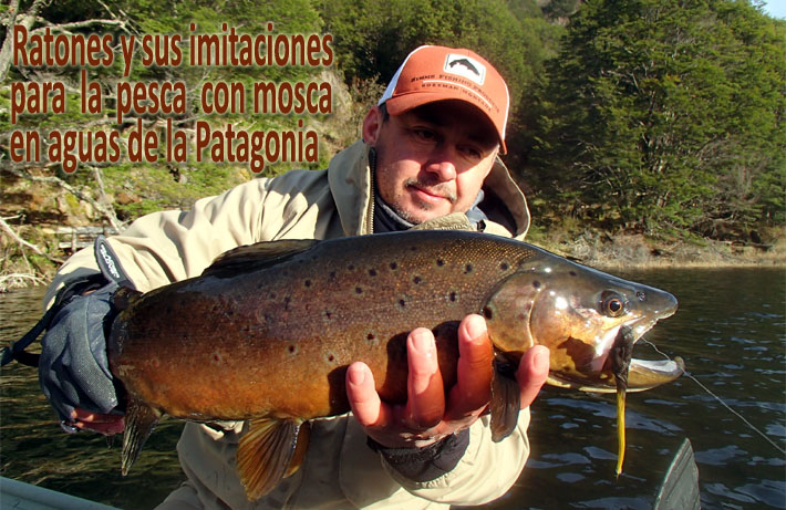 Ratones y sus imitaciones para la pesca con mosca en aguas de la Patagonia