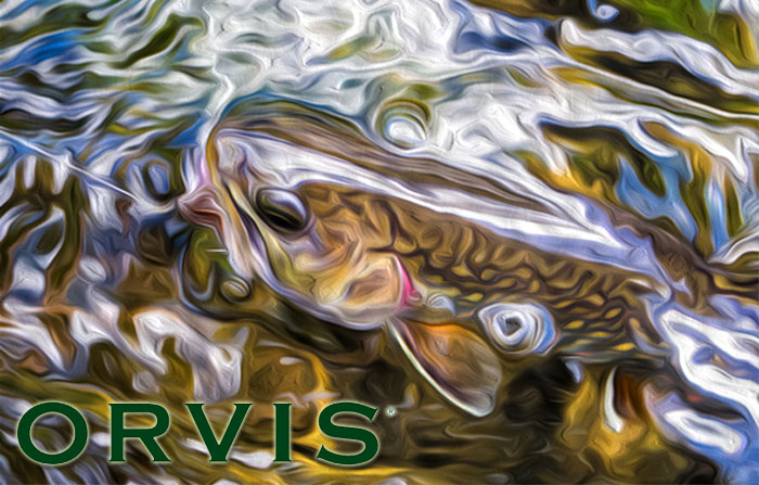 ORVIS Pasado, Presente y Futuro de un Referente de la Pesca Con Mosca   