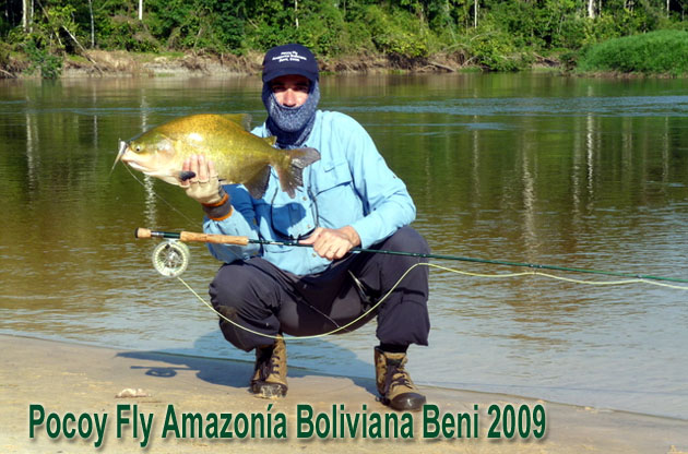 Pocoy Fly Amazona Boliviana Beni 2009