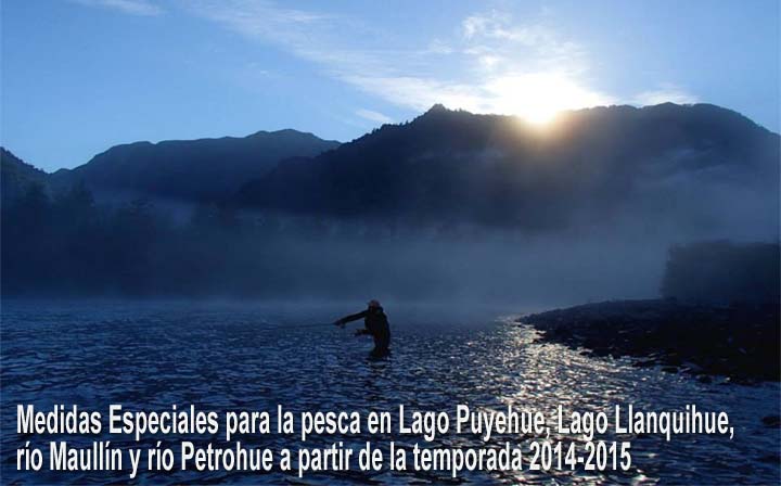 Medidas Especiales para la pesca en Lago Puyehue, Lago Llanquihue, ro Maulln y ro Petrohue a pertir de la temporada 2014-2015