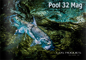Pool 32 Mag