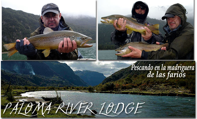 Paloma River Lodge, pescando en la madriguera de las farios