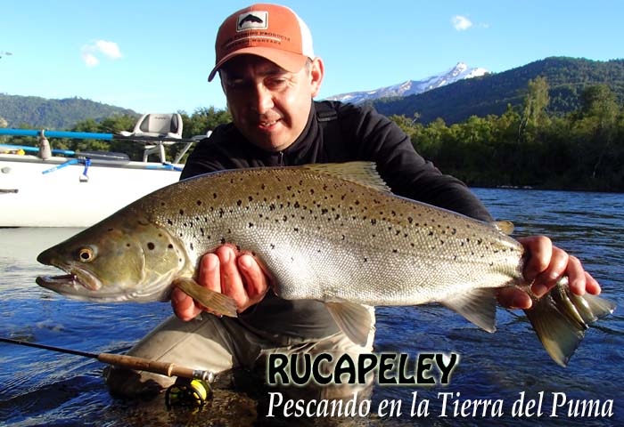 Rucapeley, Pescando en la Tierra del Puma