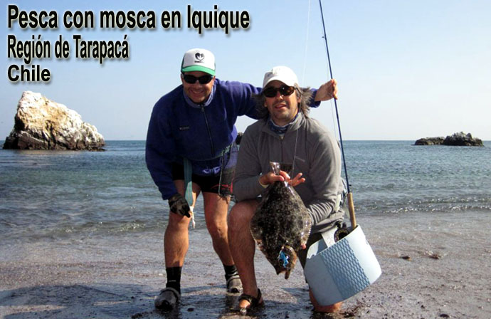 Pesca con mosca en Iquique - Regin de Tarapac - Chile