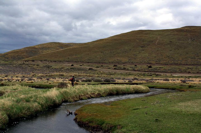 Cmo abordar un Spring Creek en Tierra del Fuego
