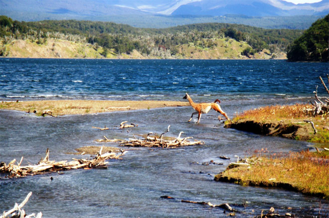 Ushuaia en Tierra del Fuego, el arranque en las aguas fueguinas.
